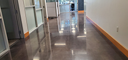 Ft Lauderdale Concrete Polishing in Ft Lauderdale | Ft Lauderdale Concrete Polishing Ft Lauderdale Florida